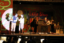 Little Shop of Horrors 207